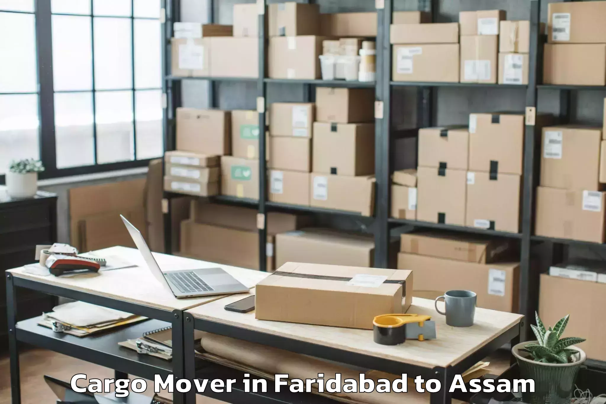 Book Faridabad to Dhing Cargo Mover